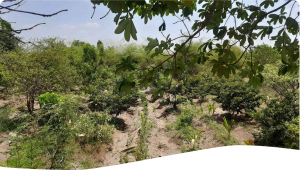 Photo by Mayuri Jadhav