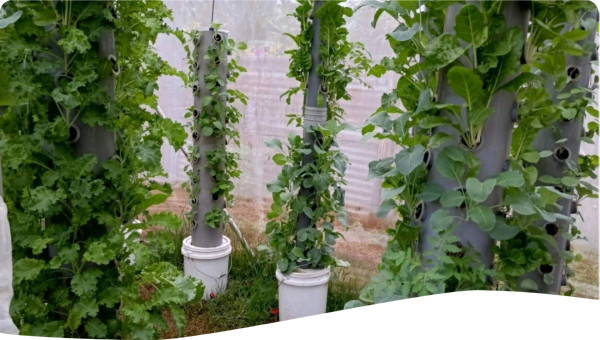 Photo by Augustine Okoth