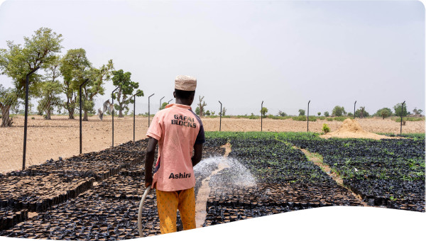 Photo by Mohammed Alamin