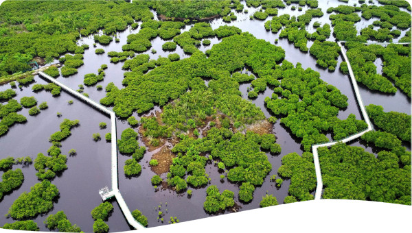 Photo by Anthony Into