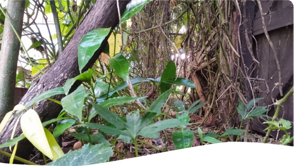 Photo by RAMANGASON Landivololona Hanitraharilanto