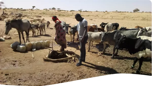 Photo by Ramadan Marne